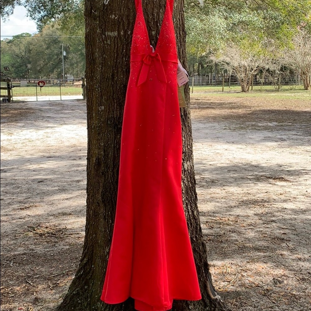 watermelon, beaded mermaid gown with tags